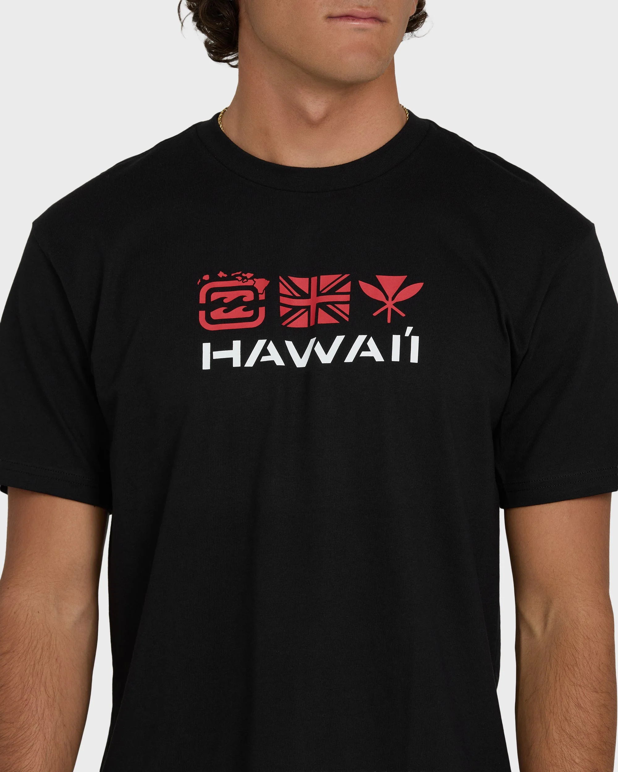 Kahili Hawaii Regular Short Sleeve Tee - Black - Image 4